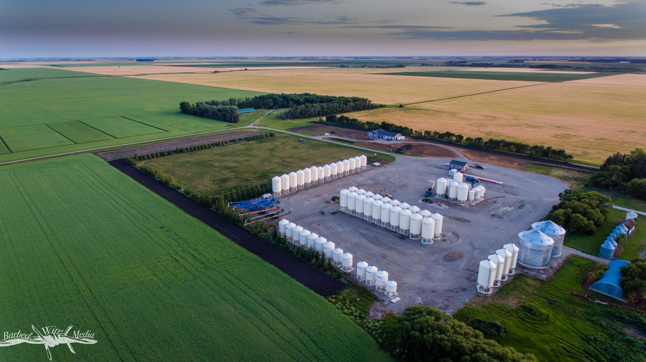 Seed bulk storage area